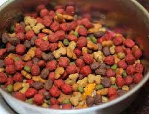 Advice On Choosing Dog Food For Your Pet